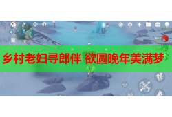 乡村老妇寻郎伴 欲圆晚年美满梦