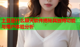 土豆是什么聊天软件揭秘其独特功能与用户体验分析