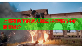 上海夜色下的迷人邂逅 探寻都市中的浪漫缘分