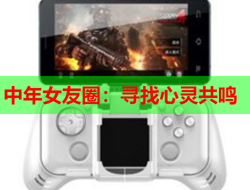 中年女友圈：寻找心灵共鸣