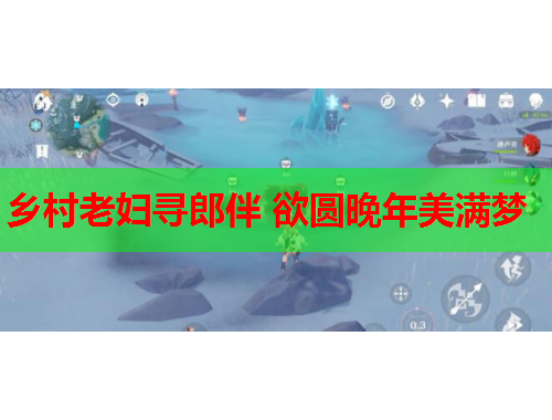 乡村老妇寻郎伴 欲圆晚年美满梦
