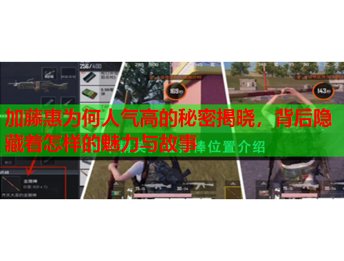 加藤惠为何人气高的秘密揭晓，背后隐藏着怎样的魅力与故事