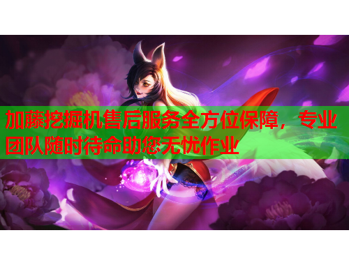 加藤挖掘机售后服务全方位保障，专业团队随时待命助您无忧作业