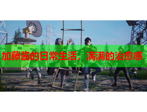 加藤酱的日常生活，满满的治愈感
