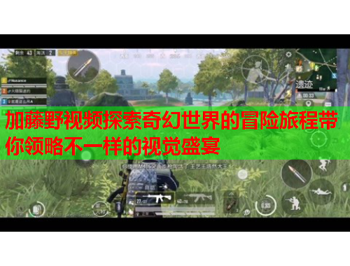 加藤野视频探索奇幻世界的冒险旅程带你领略不一样的视觉盛宴