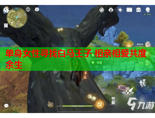 单身女性寻找白马王子 相亲相爱共度余生