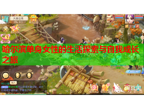 哈尔滨单身女性的生活探索与自我成长之旅