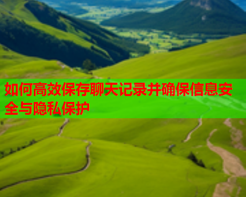 如何高效保存聊天记录并确保信息安全与隐私保护